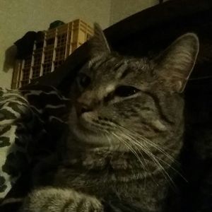 Meet your Posher, Marcus